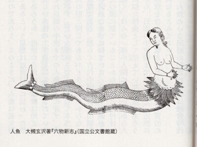 笹間良彦□図説 日本未確認生物事典: 華龍のちょっとした話
